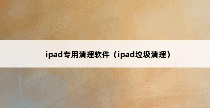 ipad专用清理软件（ipad垃圾清理） 