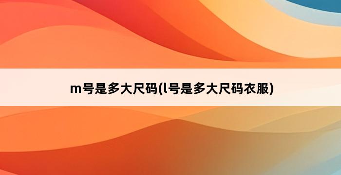 m号是多大尺码(l号是多大尺码衣服) 