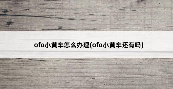 ofo小黄车怎么办理(ofo小黄车还有吗) 