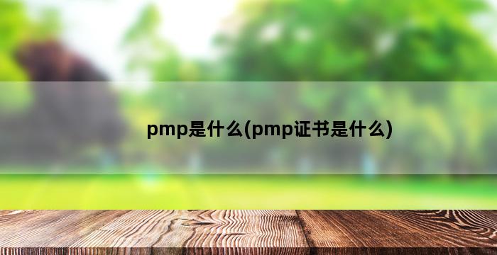 pmp是什么(pmp证书是什么) 