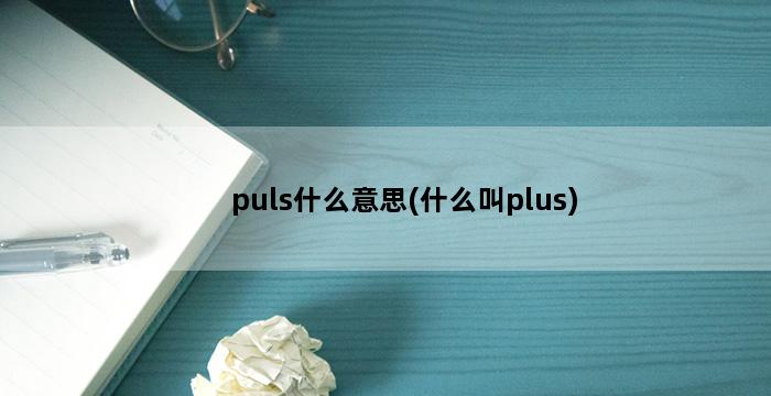 puls什么意思(什么叫plus) 