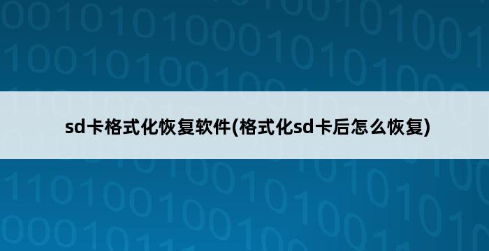 sd卡格式化恢复软件(格式化sd卡后怎么恢复) 