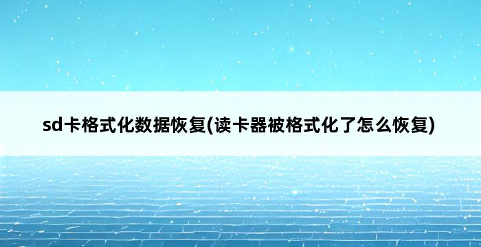 sd卡格式化数据恢复(读卡器被格式化了怎么恢复) 