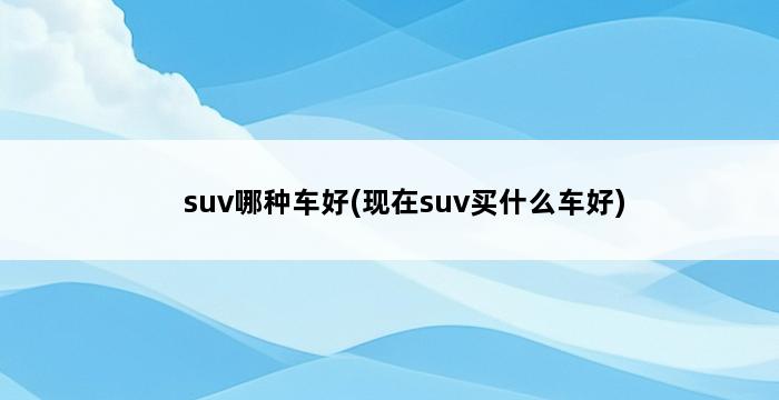 suv哪种车好(现在suv买什么车好) 