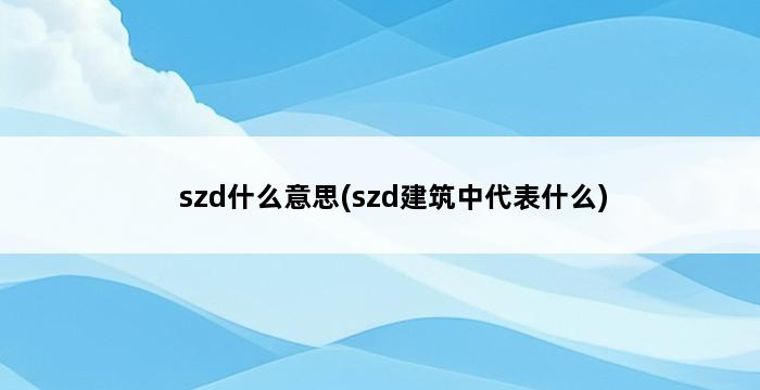 szd什么意思(szd建筑中代表什么) 