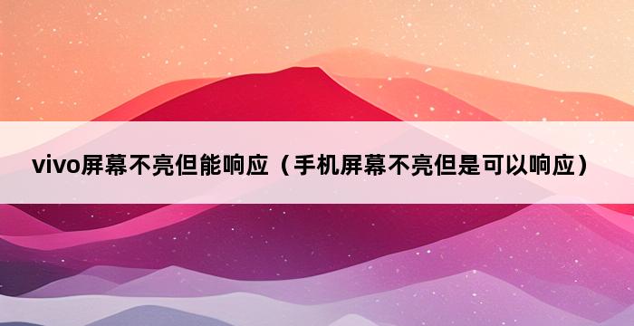 vivo屏幕不亮但能响应（手机屏幕不亮但是可以响应） 