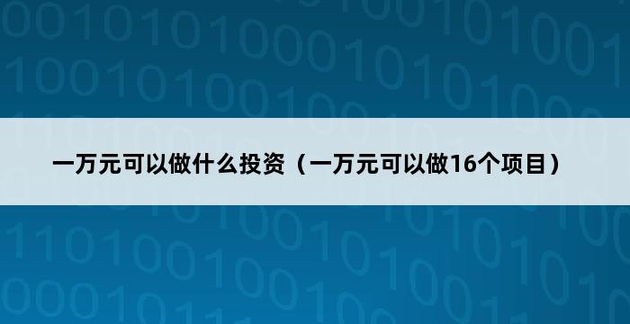 一万元可以做什么投资（一万元可以做16个项目） 