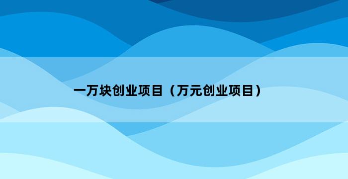 一万块创业项目（万元创业项目） 