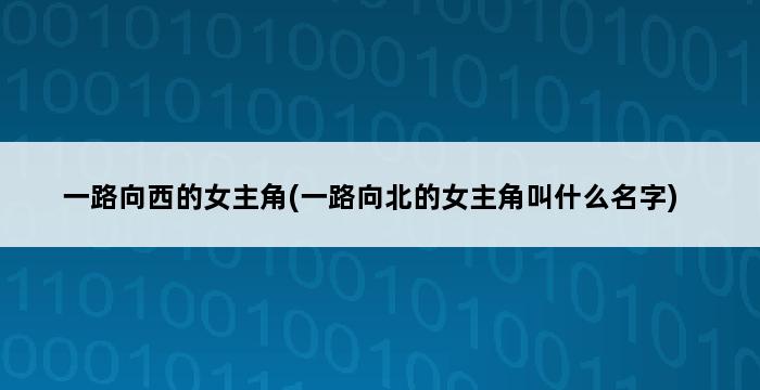 一路向西的女主角(一路向北的女主角叫什么名字) 