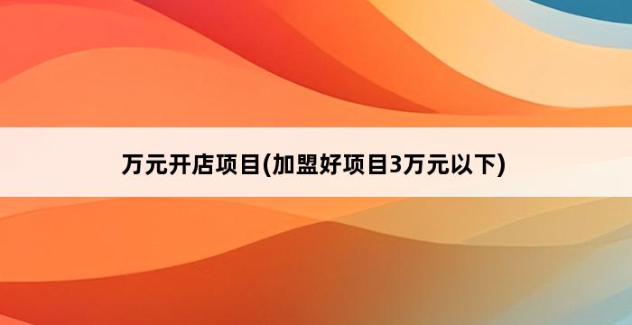 万元开店项目(加盟好项目3万元以下) 