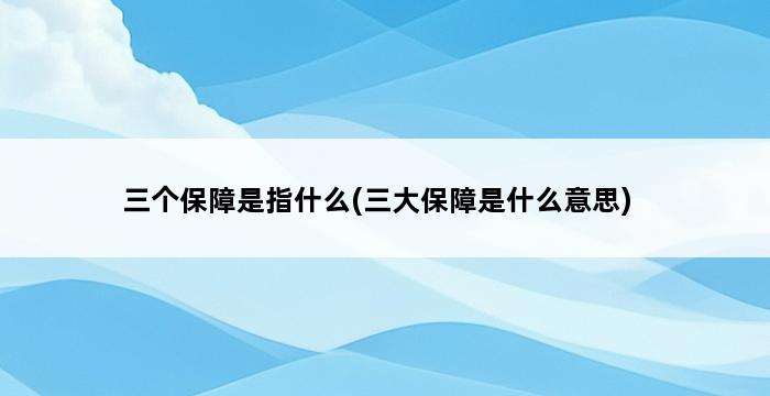 三个保障是指什么(三大保障是什么意思) 