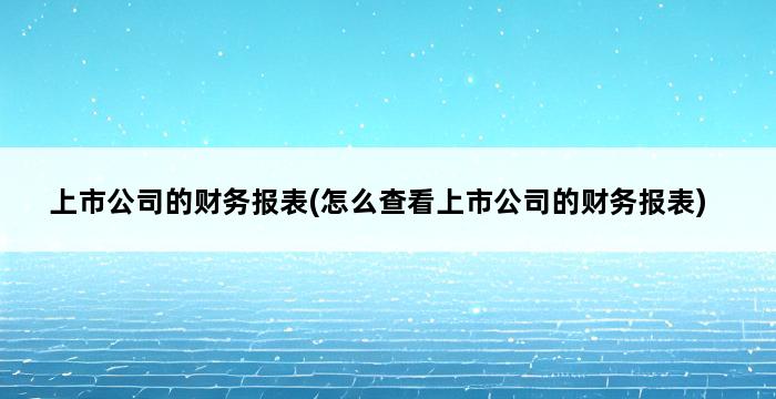 上市公司的财务报表(怎么查看上市公司的财务报表) 