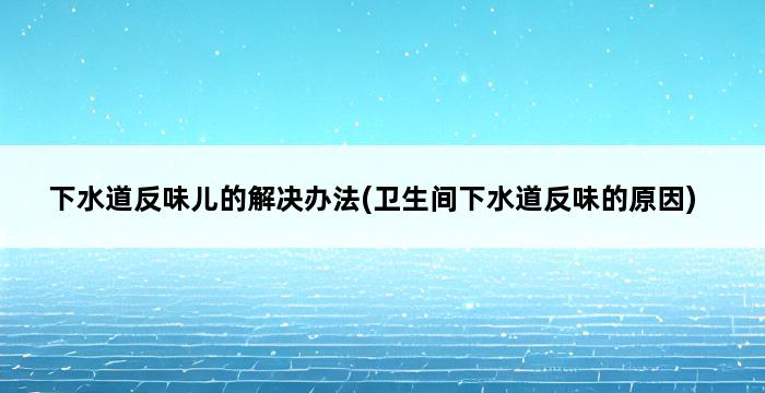 下水道反味儿的解决办法(卫生间下水道反味的原因) 