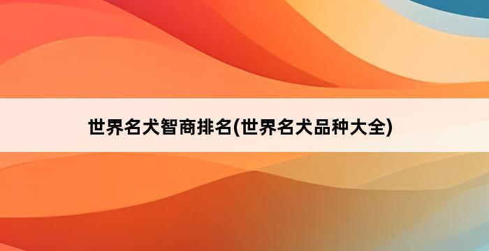 世界名犬智商排名(世界名犬品种大全) 