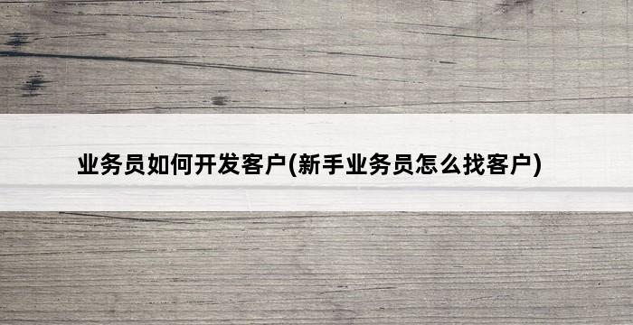 业务员如何开发客户(新手业务员怎么找客户) 