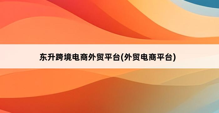 东升跨境电商外贸平台(外贸电商平台) 