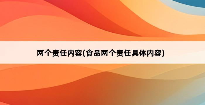 两个责任内容(食品两个责任具体内容) 