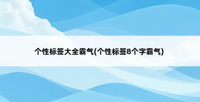 个性标签大全霸气(个性标签8个字霸气) 