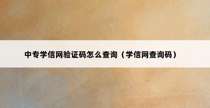 中专学信网验证码怎么查询（学信网查询码） 