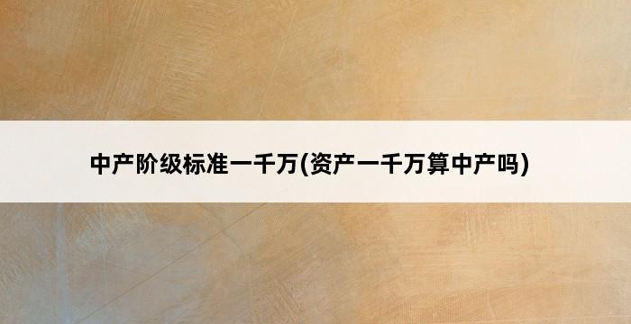 中产阶级标准一千万(资产一千万算中产吗) 