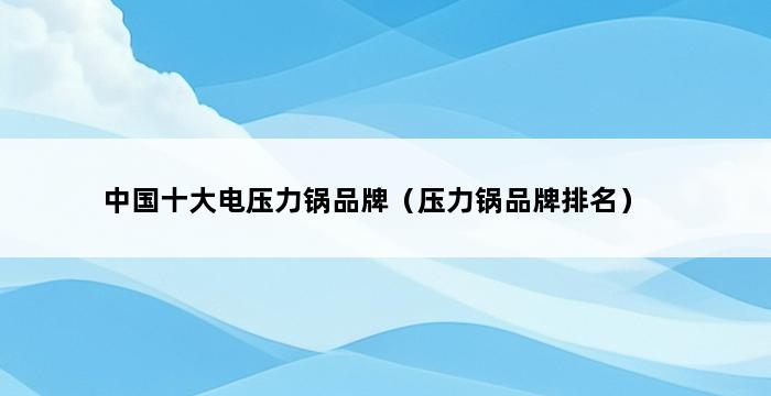 中国十大电压力锅品牌（压力锅品牌排名） 