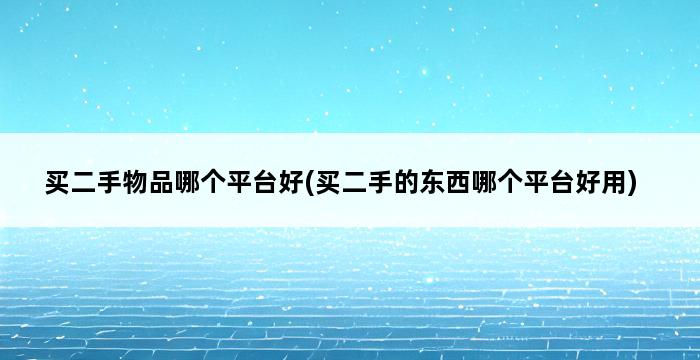 买二手物品哪个平台好(买二手的东西哪个平台好用) 