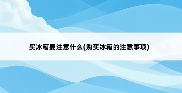 买冰箱要注意什么(购买冰箱的注意事项) 