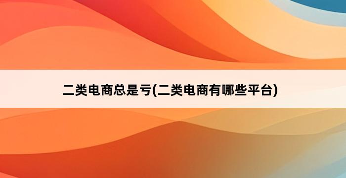 二类电商总是亏(二类电商有哪些平台) 