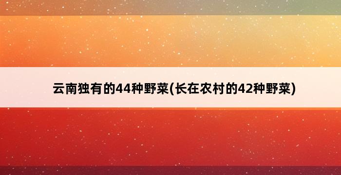 云南独有的44种野菜(长在农村的42种野菜) 