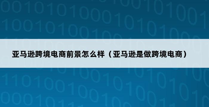 亚马逊跨境电商前景怎么样（亚马逊是做跨境电商） 