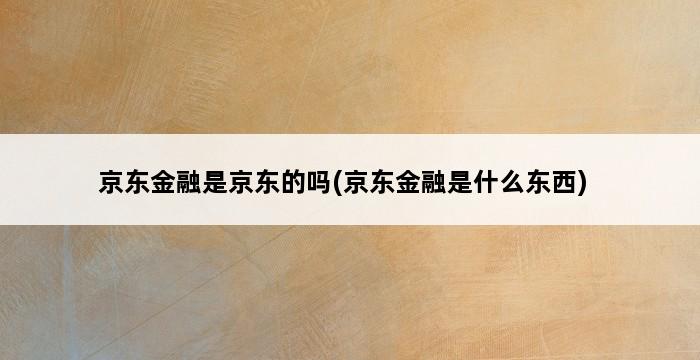 京东金融是京东的吗(京东金融是什么东西) 