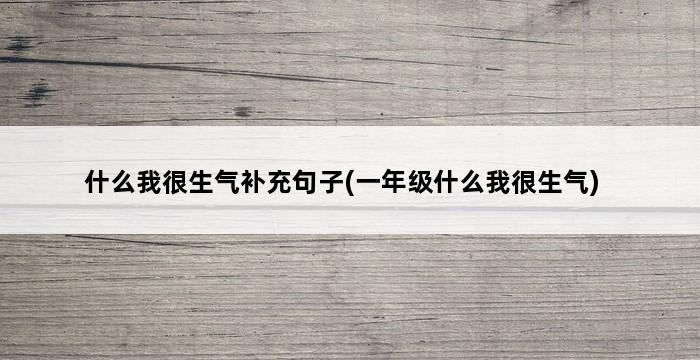 什么我很生气补充句子(一年级什么我很生气) 