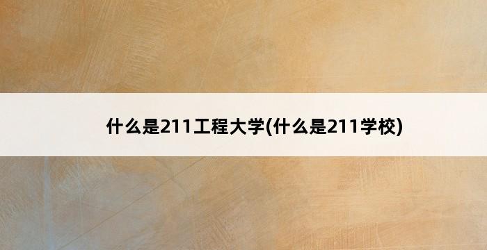 什么是211工程大学(什么是211学校) 