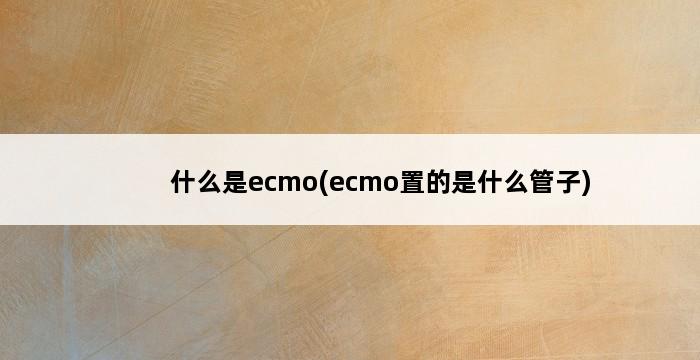 什么是ecmo(ecmo置的是什么管子) 