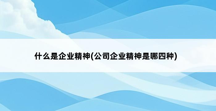 什么是企业精神(公司企业精神是哪四种) 