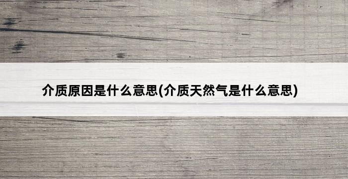 介质原因是什么意思(介质天然气是什么意思) 