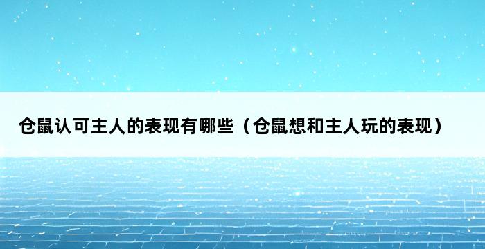 仓鼠认可主人的表现有哪些（仓鼠想和主人玩的表现） 