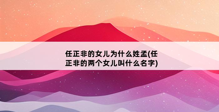 任正非的女儿为什么姓孟(任正非的两个女儿叫什么名字) 