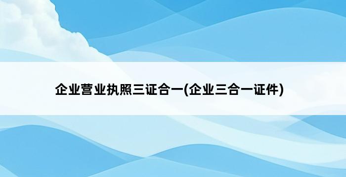 企业营业执照三证合一(企业三合一证件) 