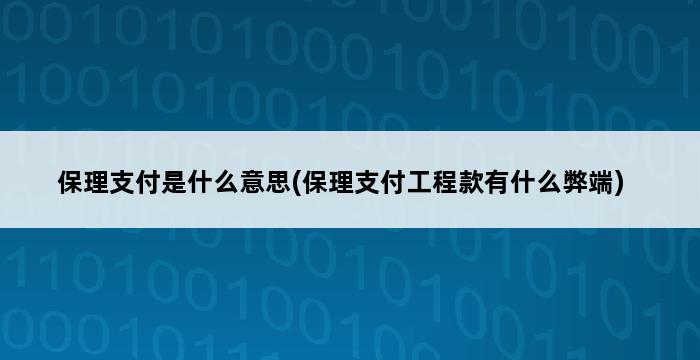 保理支付是什么意思(保理支付工程款有什么弊端) 