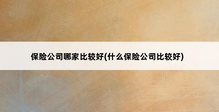 保险公司哪家比较好(什么保险公司比较好) 