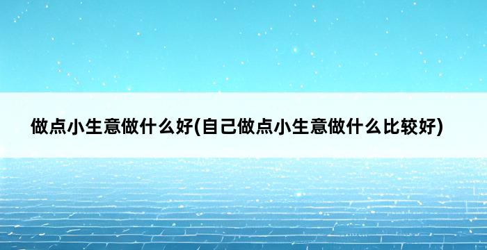 做点小生意做什么好(自己做点小生意做什么比较好) 