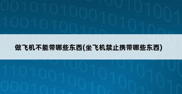 做飞机不能带哪些东西(坐飞机禁止携带哪些东西) 