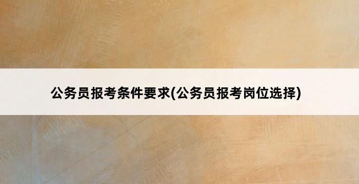 公务员报考条件要求(公务员报考岗位选择) 