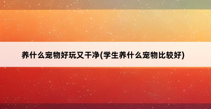 养什么宠物好玩又干净(学生养什么宠物比较好) 