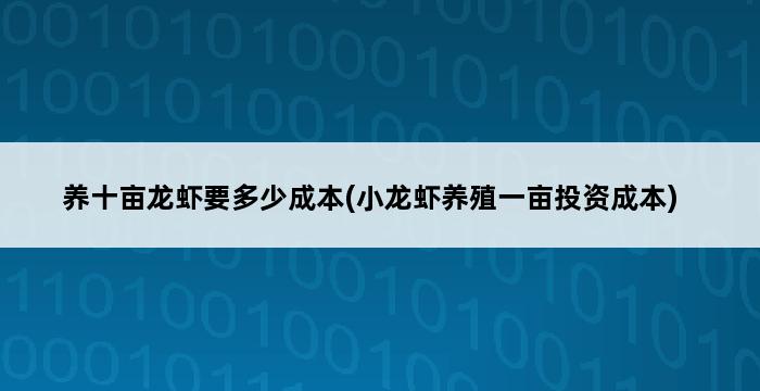 养十亩龙虾要多少成本(小龙虾养殖一亩投资成本) 