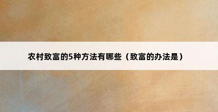 农村致富的5种方法有哪些（致富的办法是） 