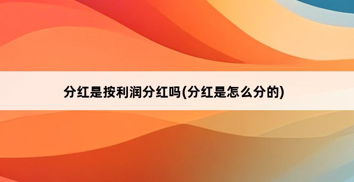 分红是按利润分红吗(分红是怎么分的) 