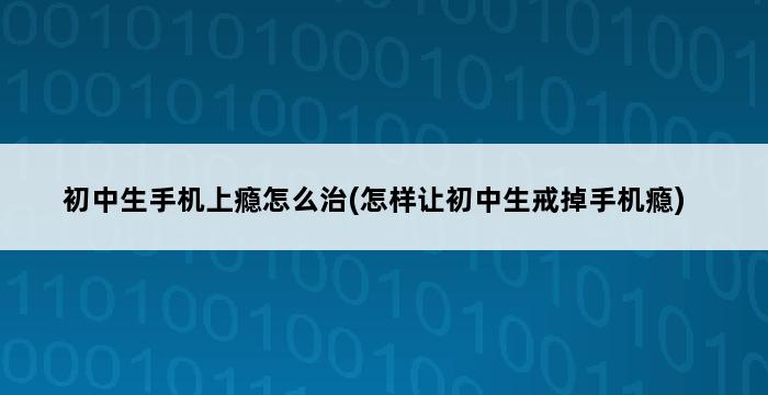 初中生手机上瘾怎么治(怎样让初中生戒掉手机瘾) 