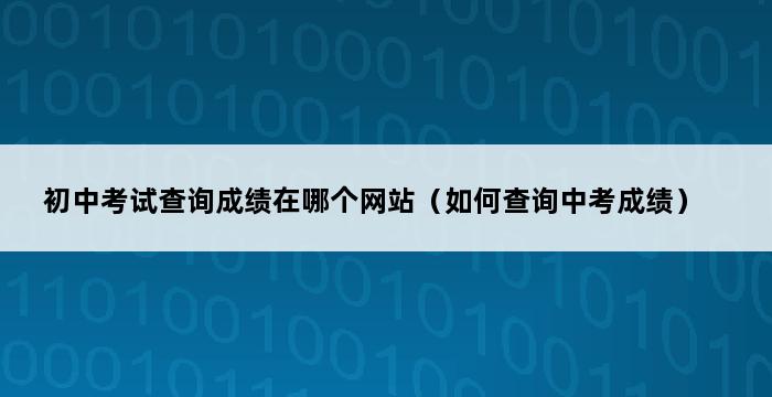 初中考试查询成绩在哪个网站（如何查询中考成绩） 